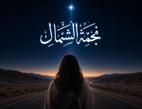 نجـــمة الشمـــال